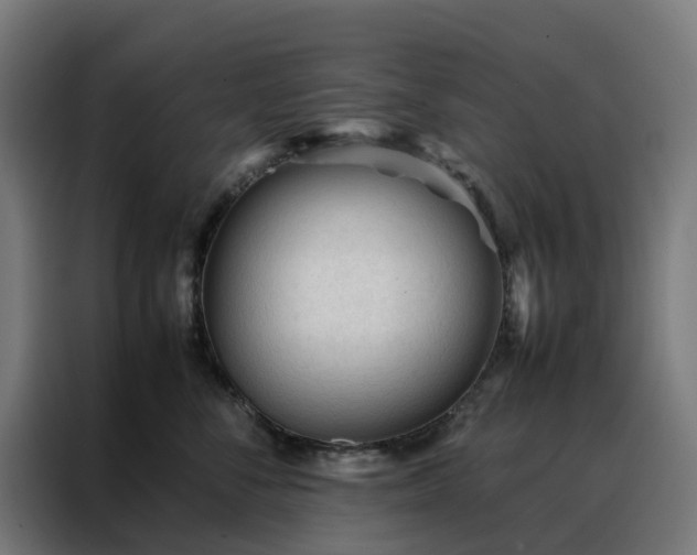 X0000088170716200705221622