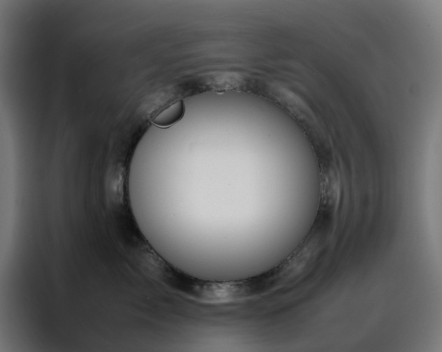 X0000088170717200705221622