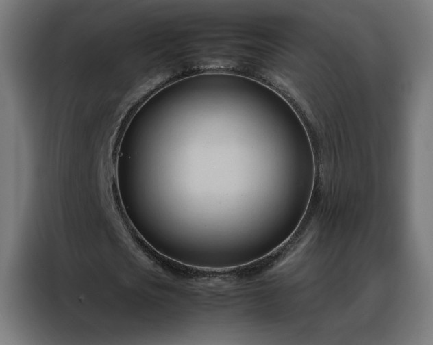 X0000088170721200705221621