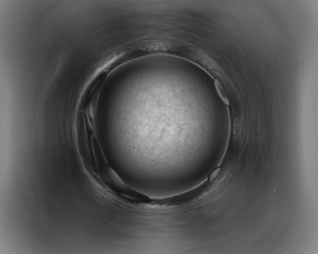 X0000088170722200705221621