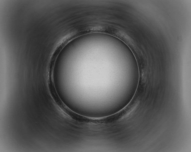 X0000088170725200705221621