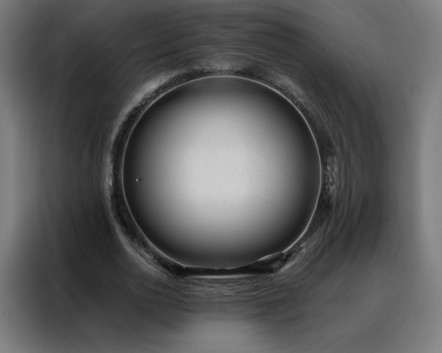 X0000088170726200705221621