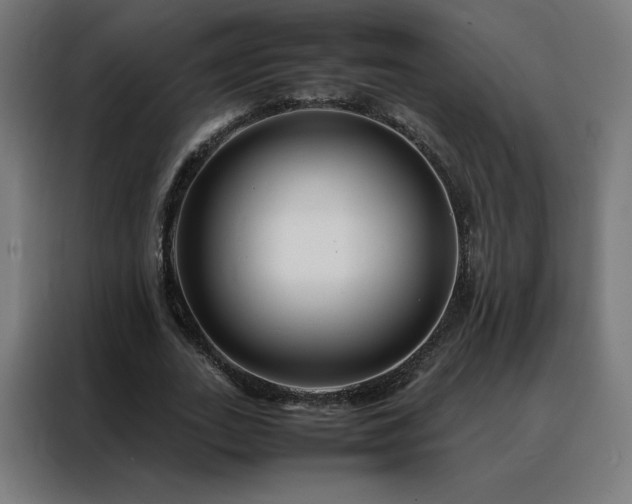 X0000088170727200705221621