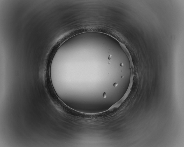 X0000088170728200705221621