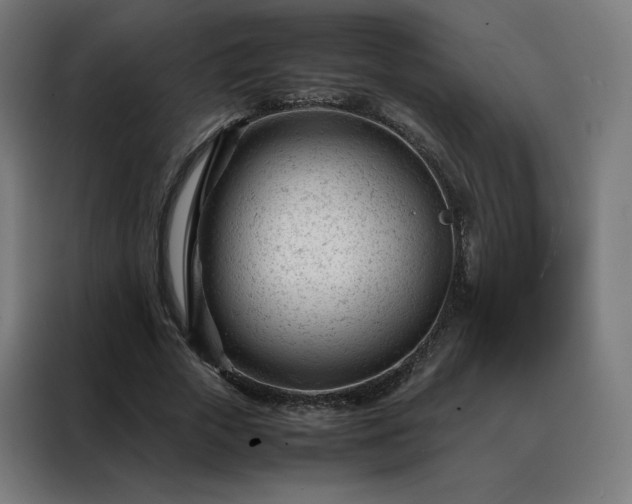 X0000088170729200705221621