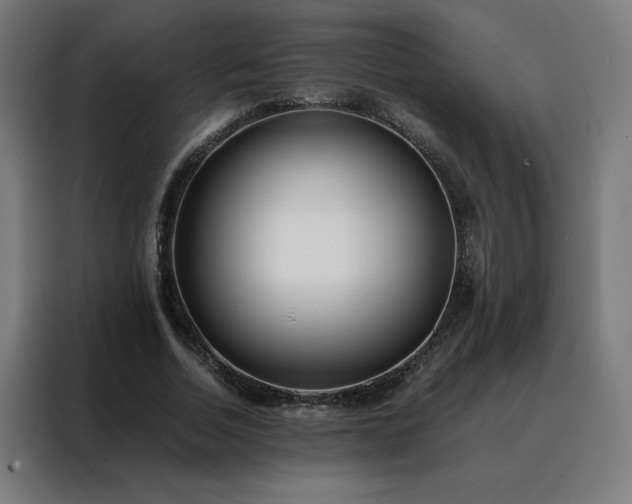 X0000088170730200705221621