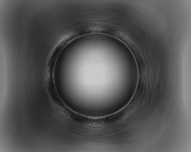 X0000088170731200705221621