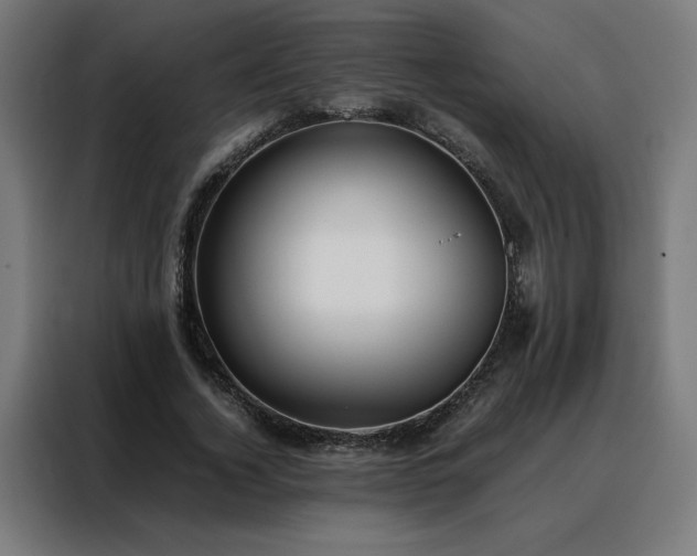 X0000088170732200705221621