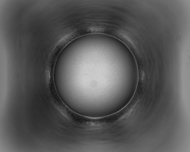 X0000088170733200705221621