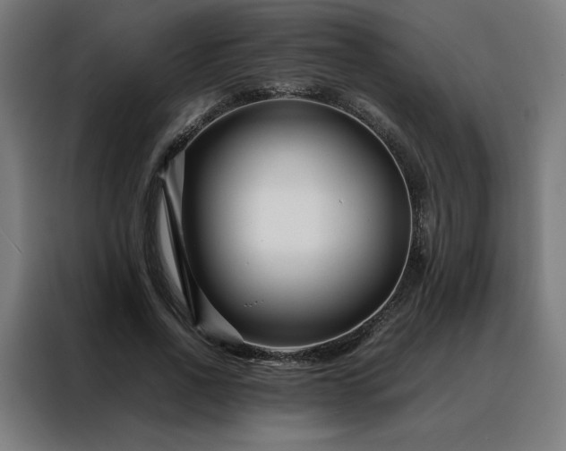 X0000088170734200705221621