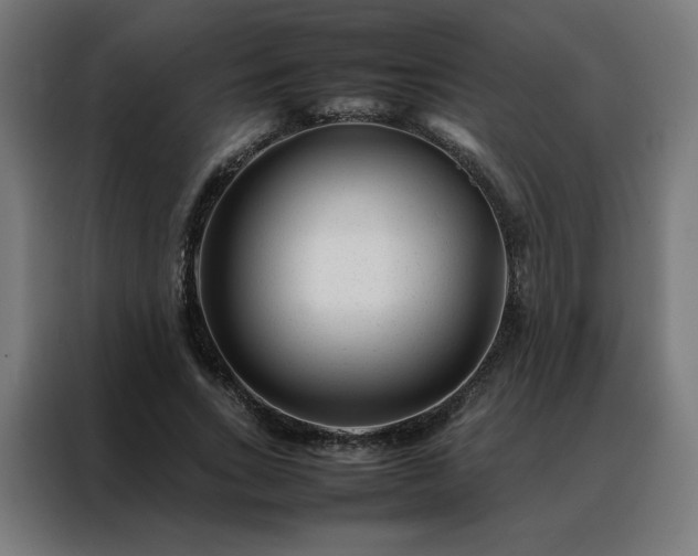 X0000088170735200705221621