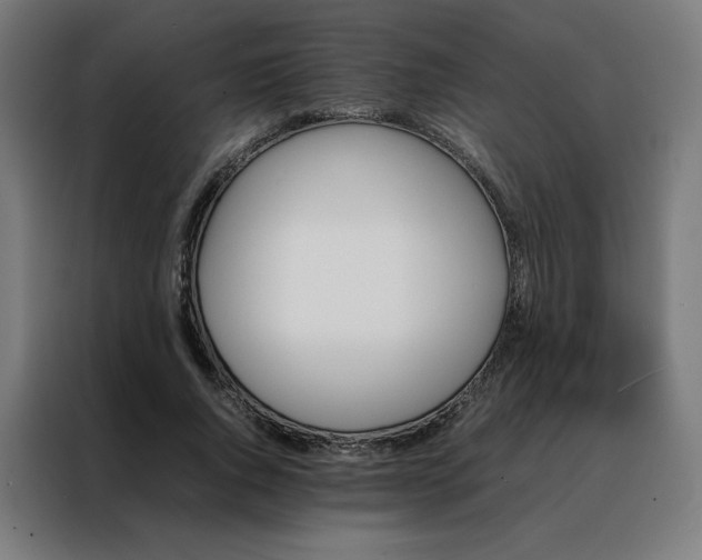 X0000088170736200705221621