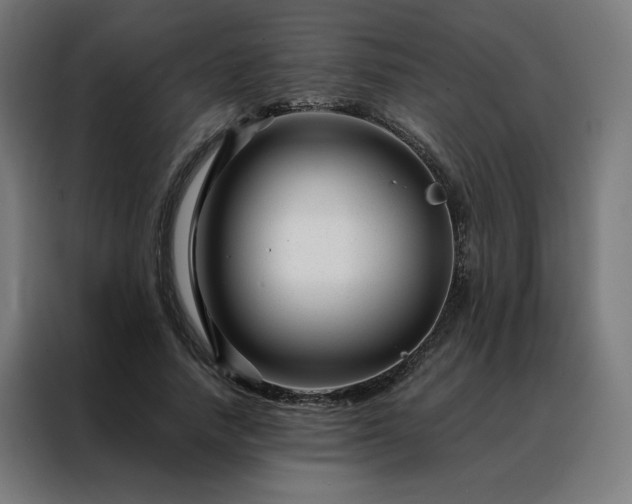 X0000088170738200705221621