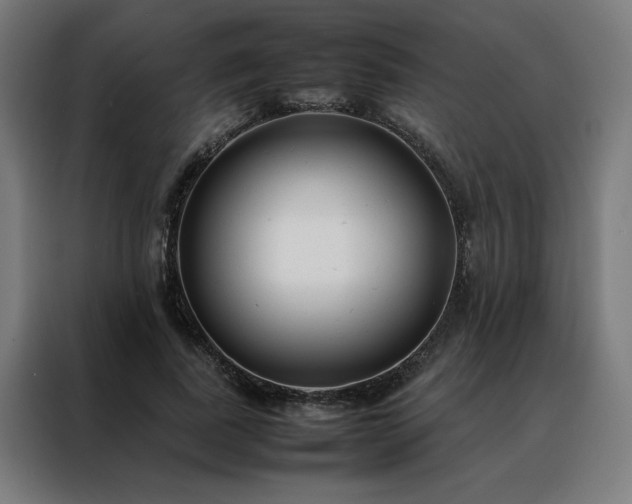 X0000088170739200705221621