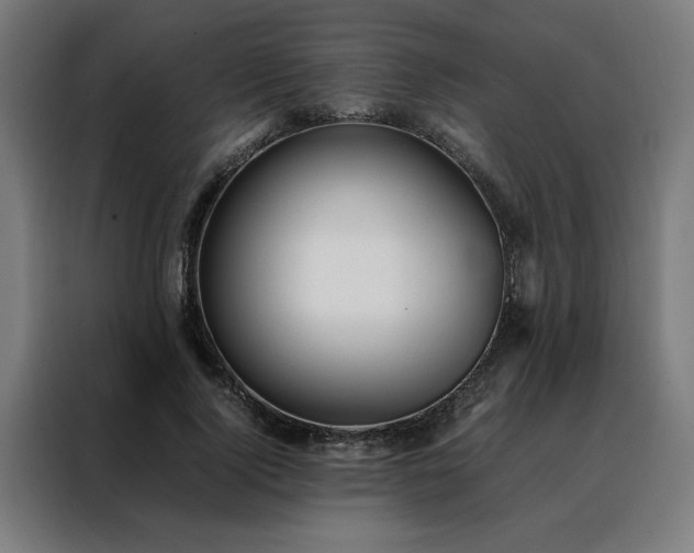 X0000088170740200705221621