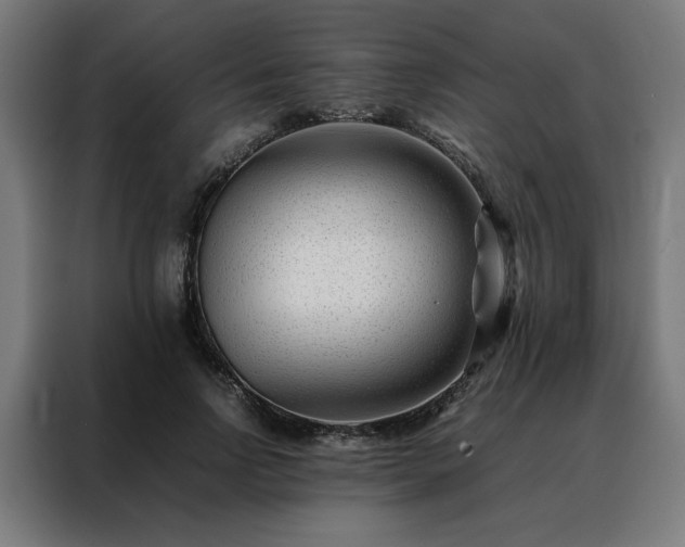 X0000088170742200705221621