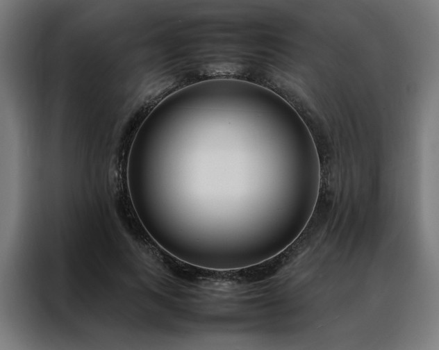 X0000088170743200705221621