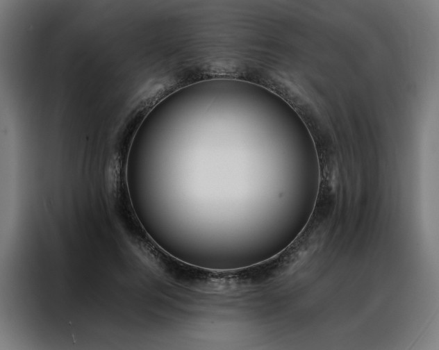 X0000088170744200705221621