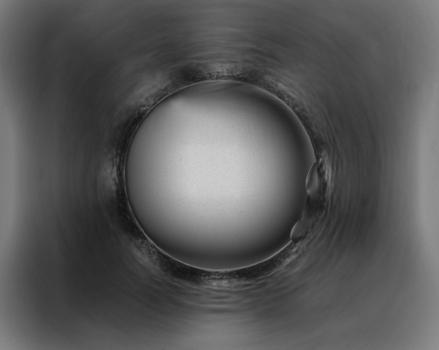 X0000088170746200705221621