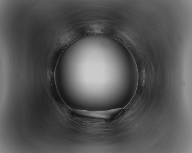 X0000088170747200705221621