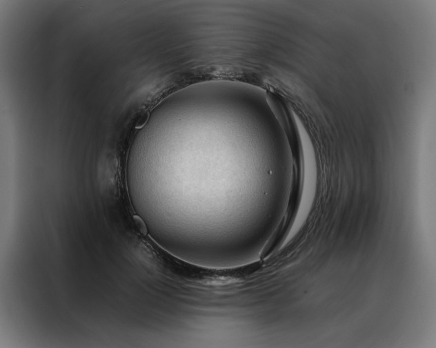 X0000088170748200705221621