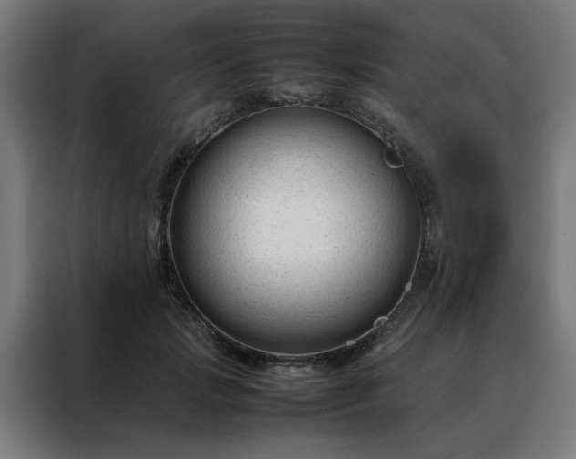 X0000088170749200705221621