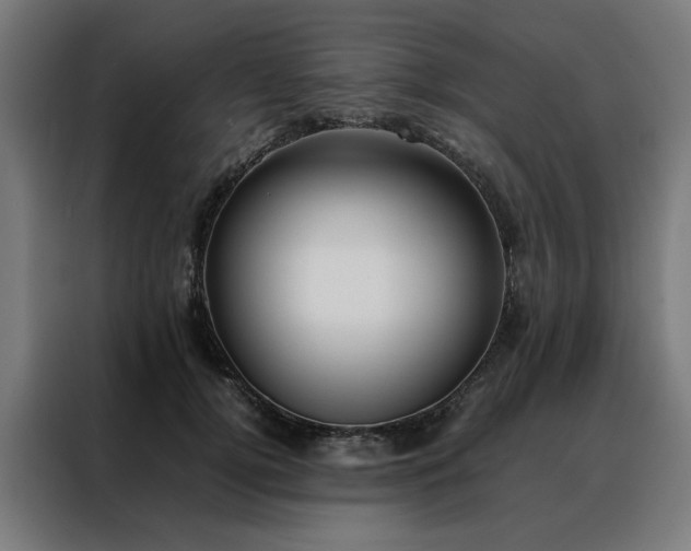 X0000088170752200705221621