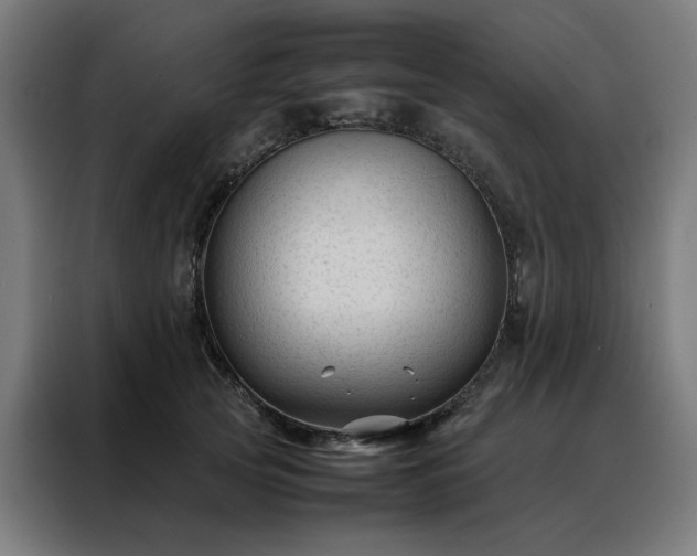 X0000088170753200705221621