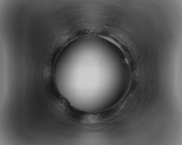 X0000088170756200705221621