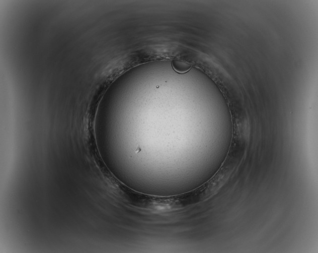 X0000088170757200705221621