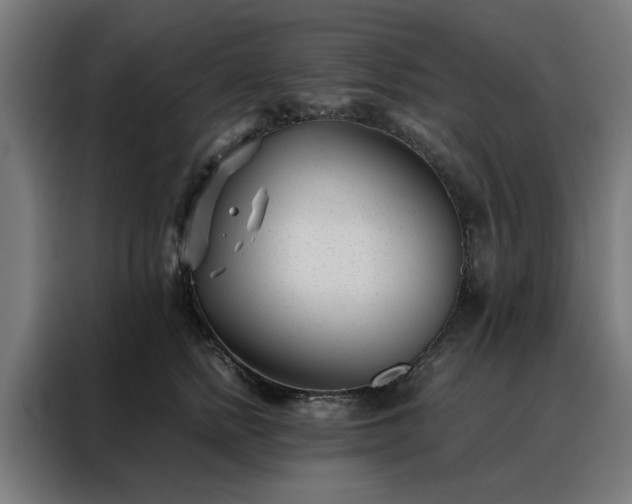 X0000088170758200705221621