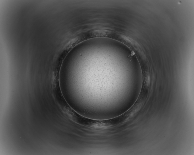 X0000088170759200705221621