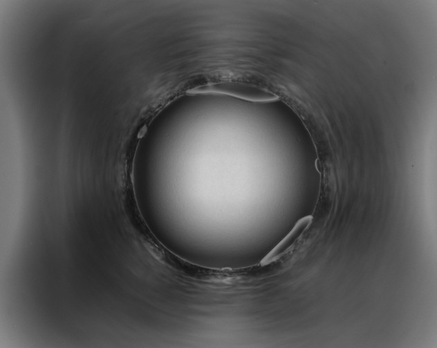 X0000088170760200705221621