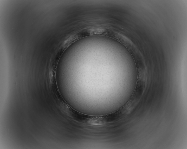 X0000088170761200705221621