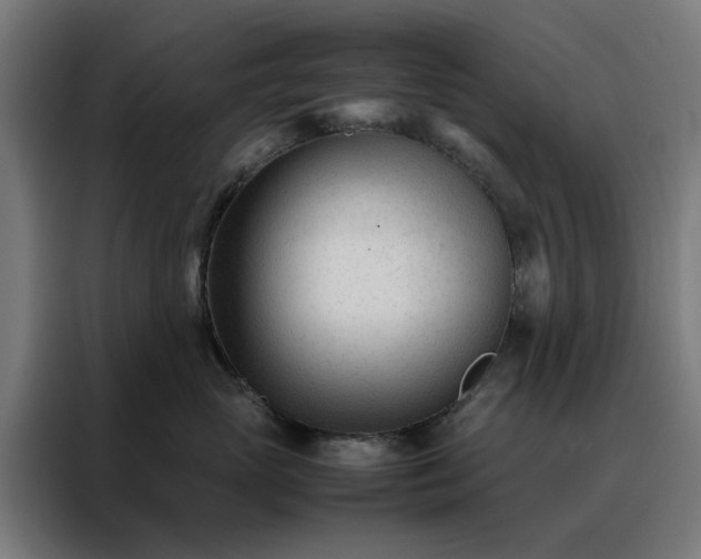 X0000088170765200705221621