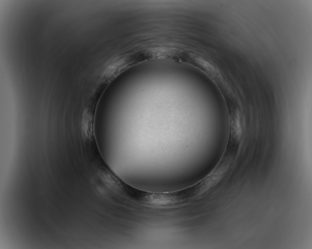 X0000088170766200705221621