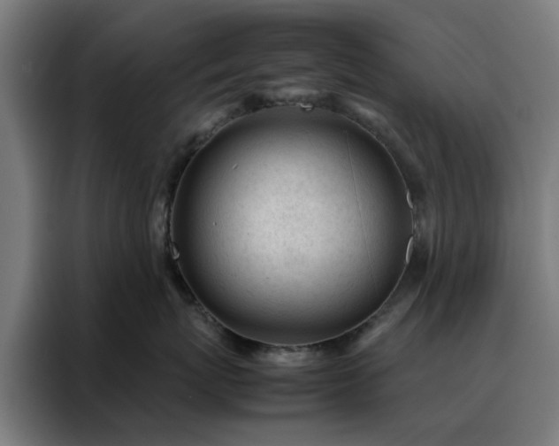 X0000088170767200705221621