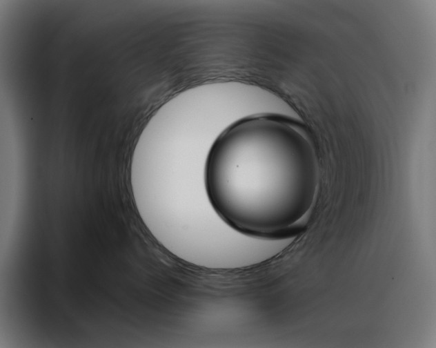 X0000088170768200705221621