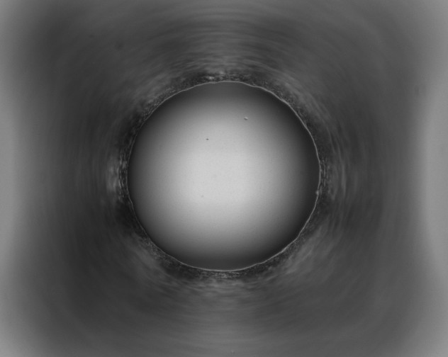 X0000088170770200705221621