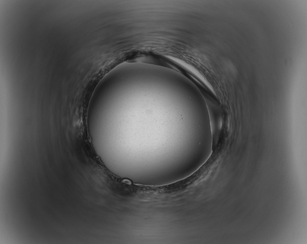 X0000088170771200705221621