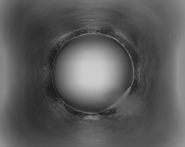 X0000088170773200705221621