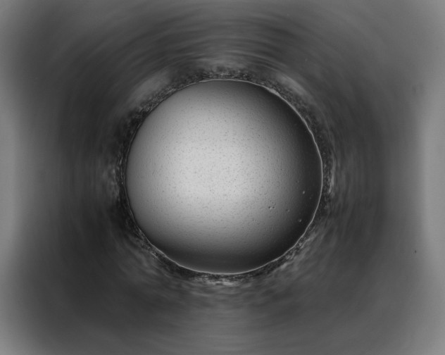 X0000088170774200705221621