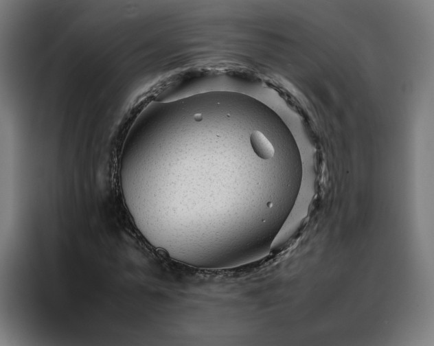 X0000088170775200705221621