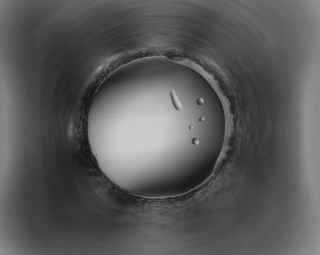 X0000088170776200705221621