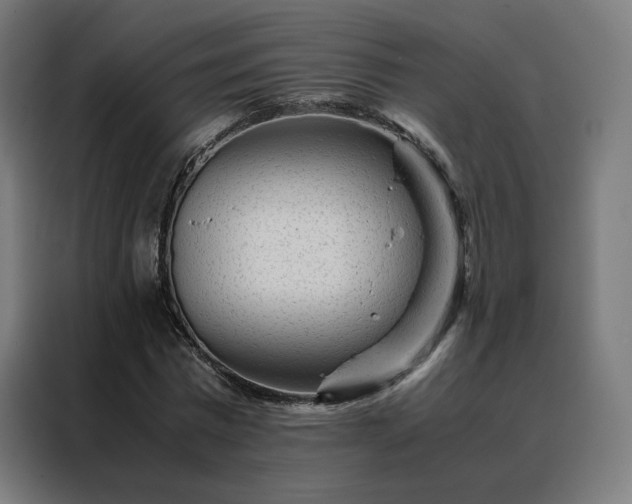 X0000088170777200705221621