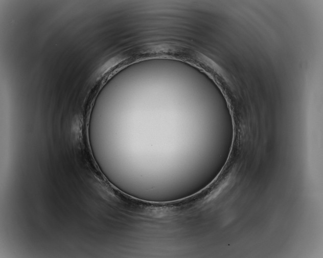 X0000088170778200705221621