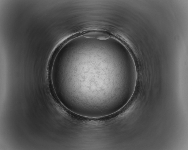 X0000088170779200705221621