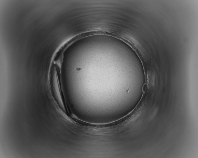 X0000088170780200705221621