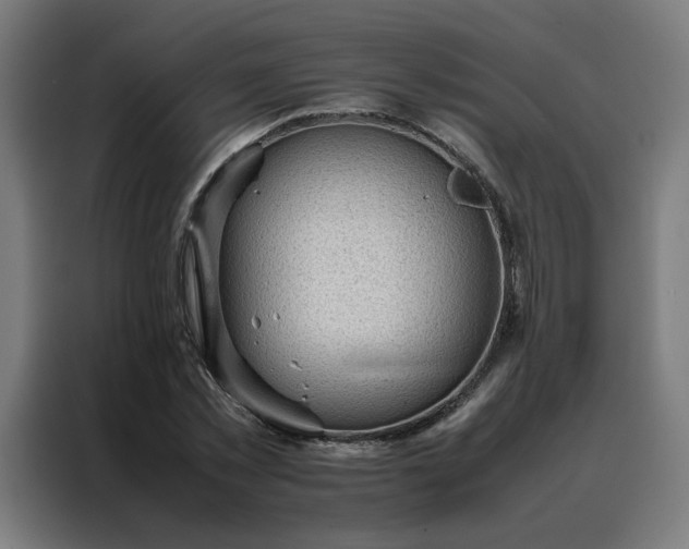 X0000088170781200705221621