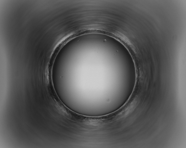 X0000088170782200705221621